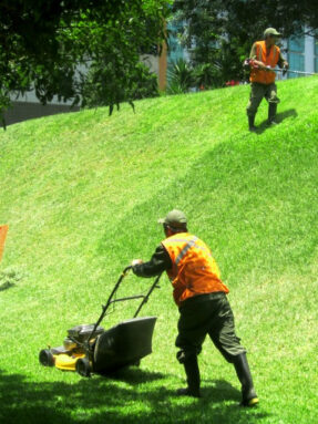 Mantenimiento-de-Areas-Verdes-y-Jardines